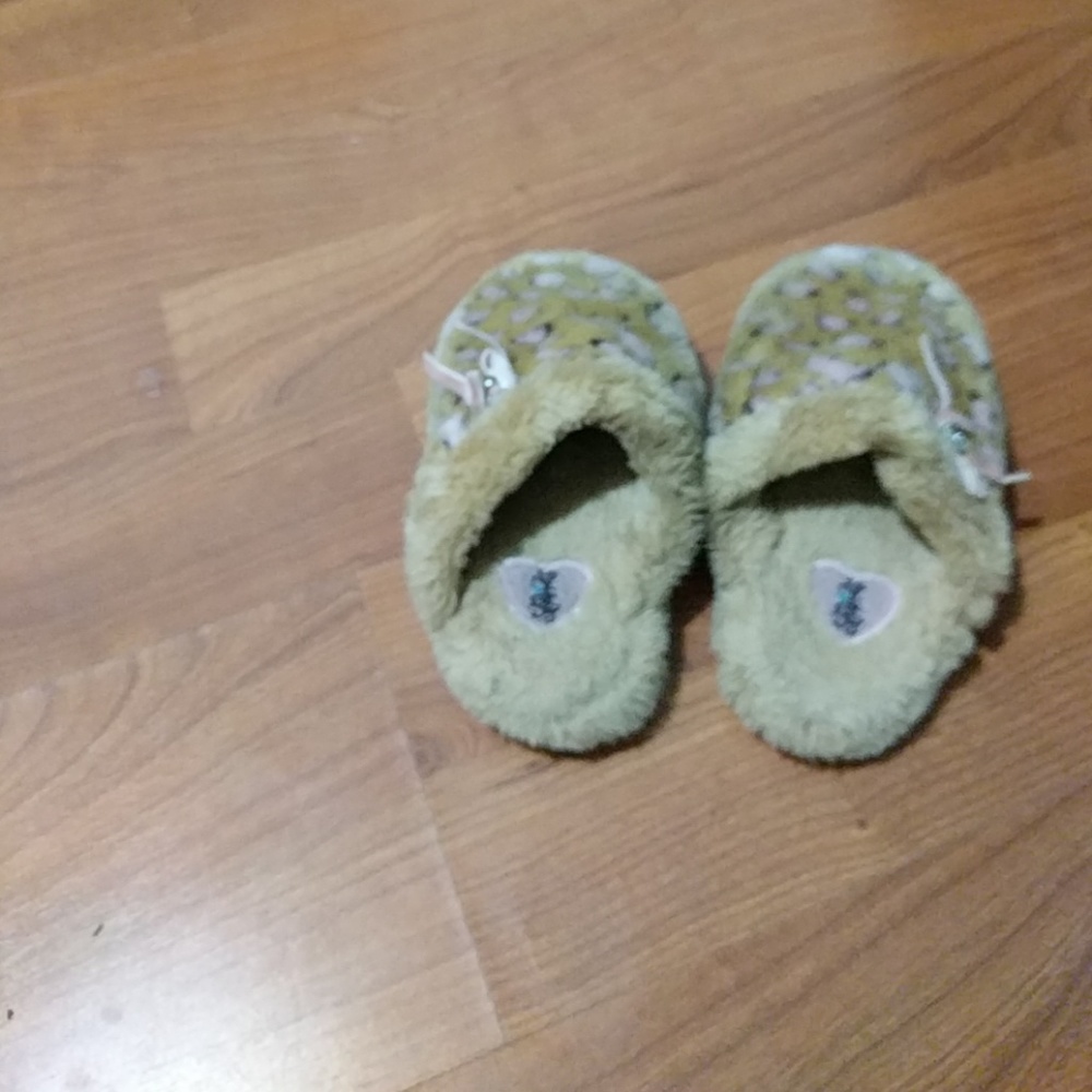 Cute Jaguar slippers